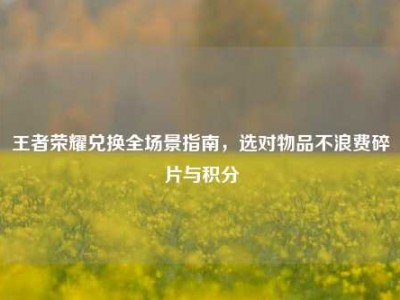 王者荣耀兑换全场景指南，选对物品不浪费碎片与积分