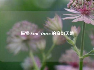 探索Osten与Steam的奇幻天地