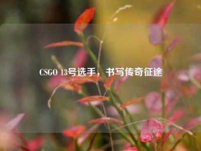 CSGO 13号选手，书写传奇征途