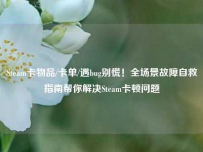 Steam卡物品/卡单/遇bug别慌！全场景故障自救指南帮你解决Steam卡顿问题