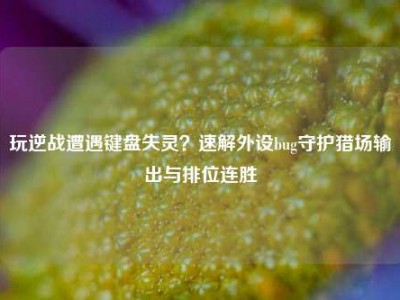 玩逆战遭遇键盘失灵？速解外设bug守护猎场输出与排位连胜