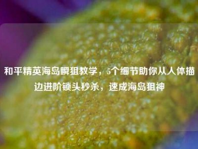 和平精英海岛瞬狙教学，5个细节助你从人体描边进阶锁头秒杀，速成海岛狙神