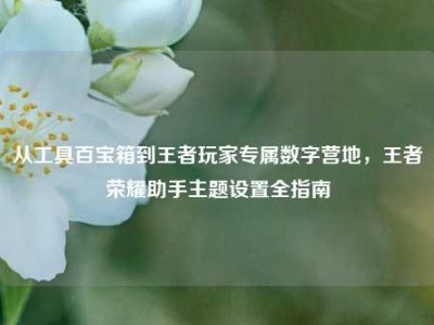 从工具百宝箱到王者玩家专属数字营地，王者荣耀助手主题设置全指南