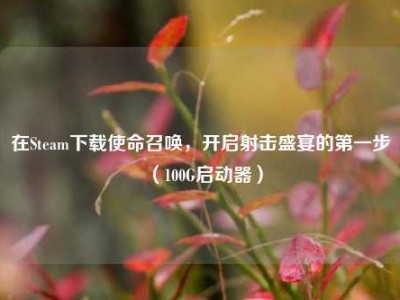 在Steam下载使命召唤，开启射击盛宴的第一步（100G启动器）
