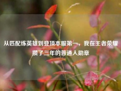 从匹配练英雄到登顶本服第一，我在王者荣耀攒了三年的普通人勋章