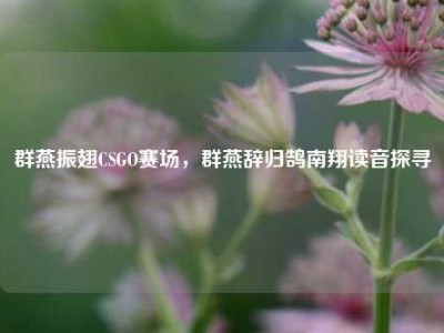 群燕振翅CSGO赛场，群燕辞归鹄南翔读音探寻