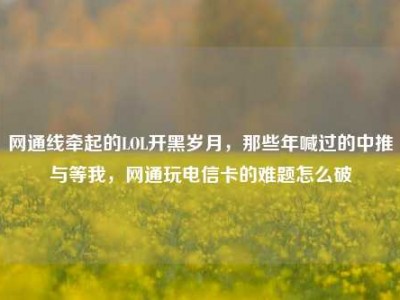 网通线牵起的LOL开黑岁月，那些年喊过的中推与等我，网通玩电信卡的难题怎么破