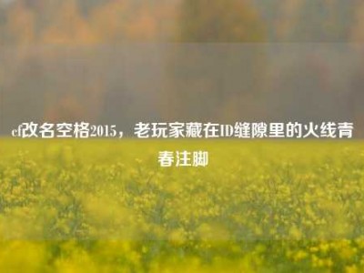 cf改名空格2015，老玩家藏在ID缝隙里的火线青春注脚
