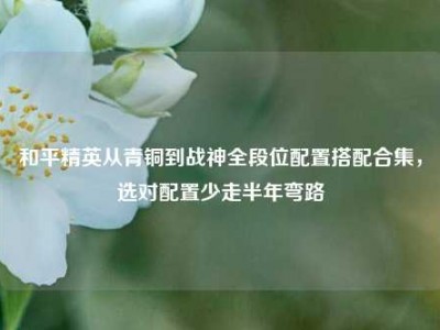 和平精英从青铜到战神全段位配置搭配合集，选对配置少走半年弯路