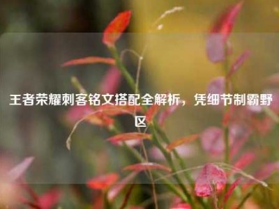 王者荣耀刺客铭文搭配全解析，凭细节制霸野区