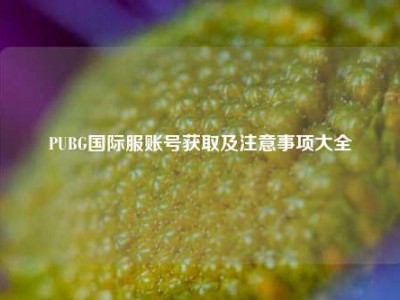 PUBG国际服账号获取及注意事项大全