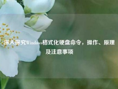 深入探究Windows格式化硬盘命令，操作、原理及注意事项