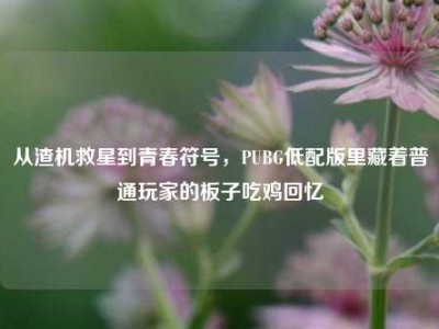 从渣机救星到青春符号，PUBG低配版里藏着普通玩家的板子吃鸡回忆