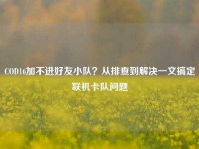 COD16加不进好友小队？从排查到解决一文搞定联机卡队问题