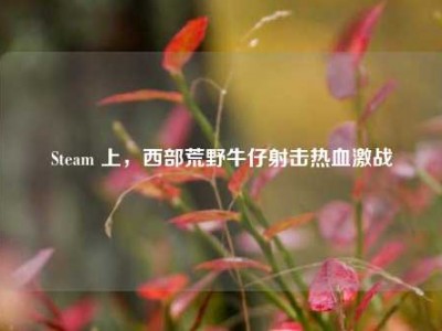 Steam 上，西部荒野牛仔射击热血激战