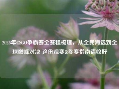 2025年CSGO争霸赛全赛程梳理，从全民海选到全球巅峰对决 这份观赛&参赛指南请收好