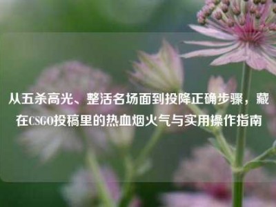 从五杀高光、整活名场面到投降正确步骤，藏在CSGO投稿里的热血烟火气与实用操作指南