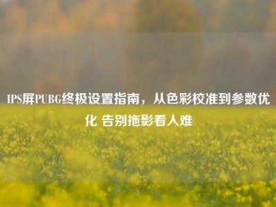 IPS屏PUBG终极设置指南，从色彩校准到参数优化 告别拖影看人难