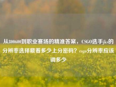 从800600到职业赛场的精准答案，CSGO选手jks的分辨率选择藏着多少上分密码？csgo分辨率应该调多少