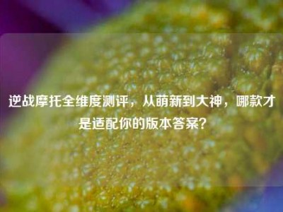 逆战摩托全维度测评，从萌新到大神，哪款才是适配你的版本答案？