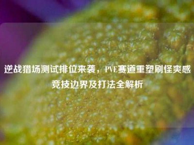 逆战猎场测试排位来袭，PVE赛道重塑刷怪爽感竞技边界及打法全解析