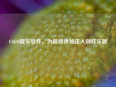CSGO娱乐软件，为游戏体验注入别样乐趣