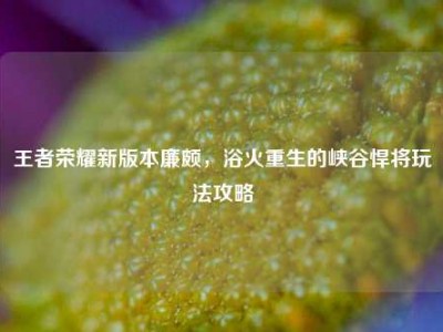 王者荣耀新版本廉颇，浴火重生的峡谷悍将玩法攻略