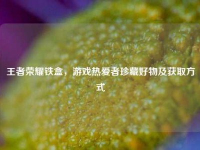 王者荣耀铁盒，游戏热爱者珍藏好物及获取方式