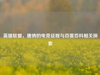 英雄联盟，唐纳的电竞征程与百度百科相关探索