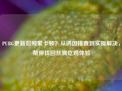 PUBG更新后频繁卡顿？从诱因排查到实操解决，帮你找回丝滑吃鸡体验