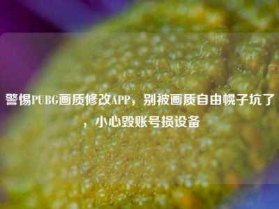 警惕PUBG画质修改APP，别被画质自由幌子坑了，小心毁账号损设备