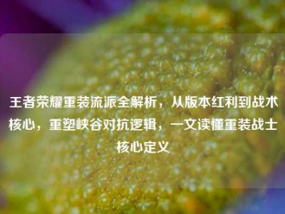 王者荣耀重装流派全解析，从版本红利到战术核心，重塑峡谷对抗逻辑，一文读懂重装战士核心定义