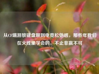 从CF端游放键盘聊到电竞松弛感，那些年我们在火线里学会的，不止非赢不可