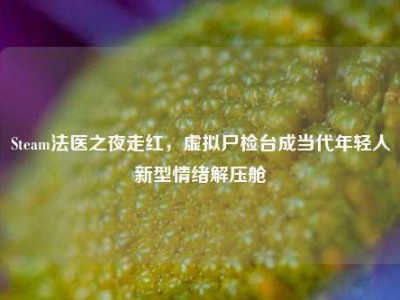 Steam法医之夜走红，虚拟尸检台成当代年轻人新型情绪解压舱