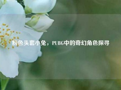 粉色头套小兔，PUBG中的奇幻角色探寻