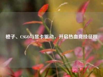 橙子、CSGO与显卡驱动，开启热血竞技征程