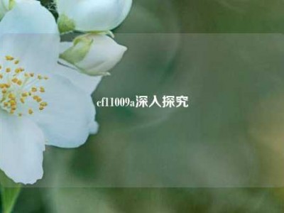 cf11009a深入探究