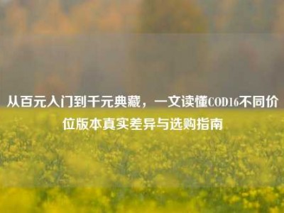 从百元入门到千元典藏，一文读懂COD16不同价位版本真实差异与选购指南