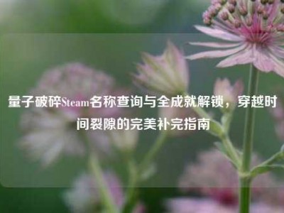 量子破碎Steam名称查询与全成就解锁，穿越时间裂隙的完美补完指南