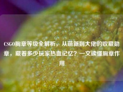 CSGO胸章等级全解析，从萌新到大佬的收藏勋章，藏着多少玩家热血记忆？一文读懂胸章作用