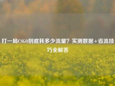 打一局CSGO到底耗多少流量？实测数据+省流技巧全解答