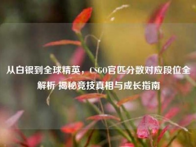 从白银到全球精英，CSGO官匹分数对应段位全解析 揭秘竞技真相与成长指南