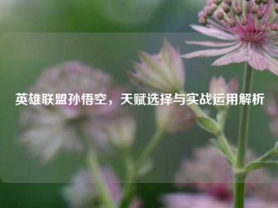 英雄联盟孙悟空，天赋选择与实战运用解析