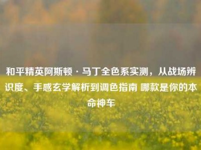 和平精英阿斯顿·马丁全色系实测，从战场辨识度、手感玄学解析到调色指南 哪款是你的本命神车
