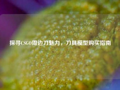 探寻CSGO周边刀魅力，刀具模型购买指南