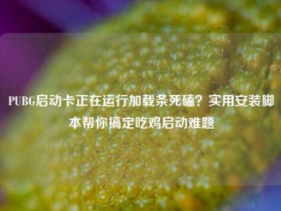 PUBG启动卡正在运行加载条死磕？实用安装脚本帮你搞定吃鸡启动难题