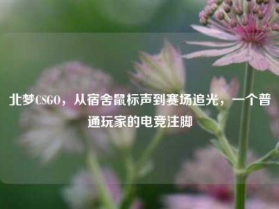 北梦CSGO，从宿舍鼠标声到赛场追光，一个普通玩家的电竞注脚