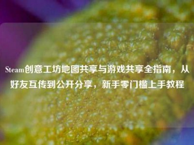 Steam创意工坊地图共享与游戏共享全指南，从好友互传到公开分享，新手零门槛上手教程