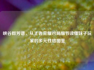 峡谷群芳谱，从王者荣耀对局细节读懂妹子玩家的多元性格图鉴