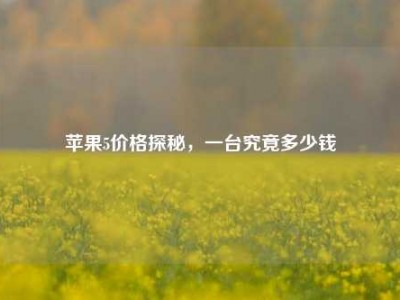 苹果5价格探秘，一台究竟多少钱